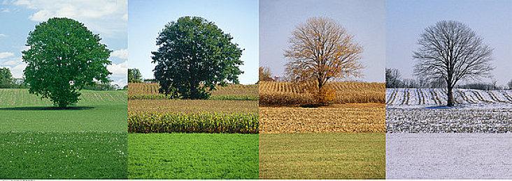 《暗黑破坏神4》现在战网客户端提供免费试玩版